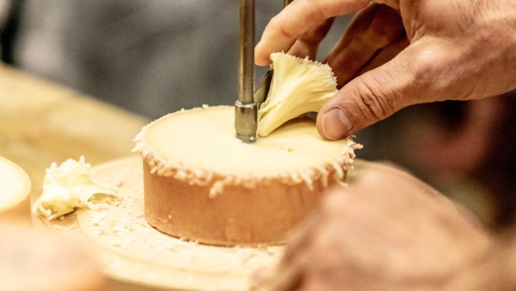 produits-rossette-stage